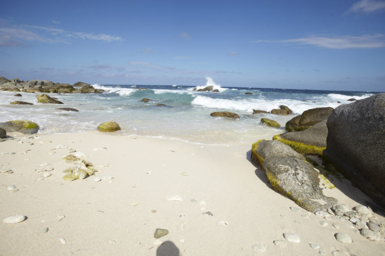 Lighthouse Beach Aruba