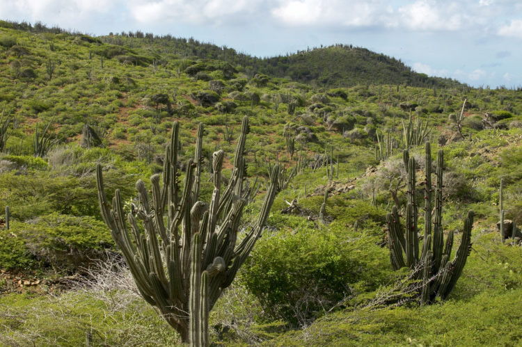 Arikok National Park Aruba