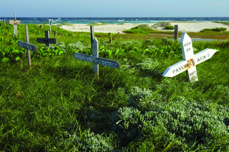 Pet Cemetery Aruba