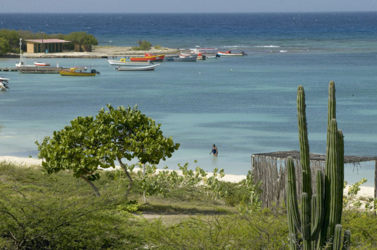 Roger's Beach Aruba