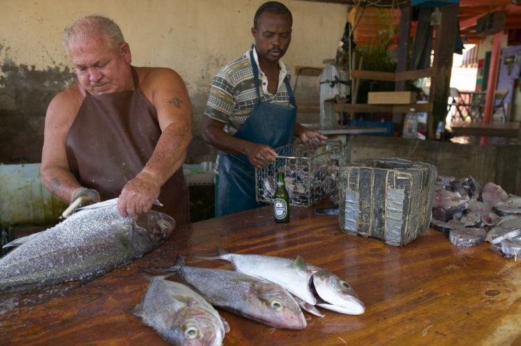 Towns of Aruba | When in Aruba