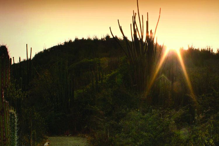 sunset view at Arikok National Park, which offers many Aruba nature activities and natural wonders