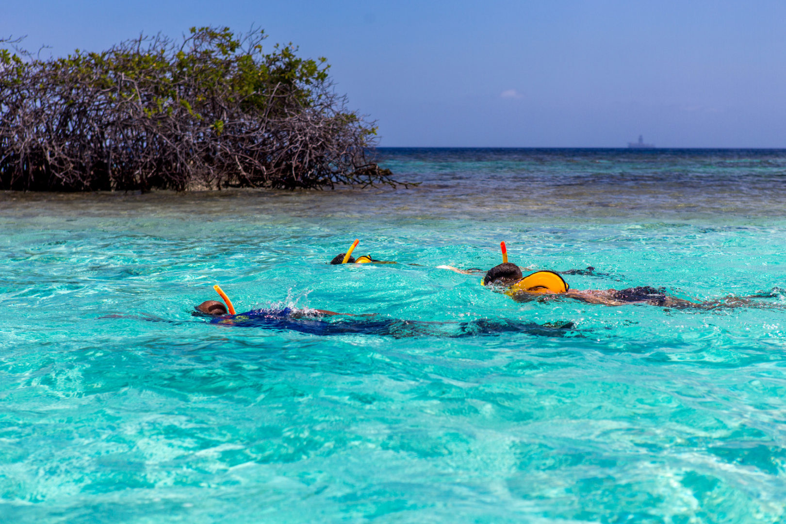 Best Places to Snorkel in Aruba