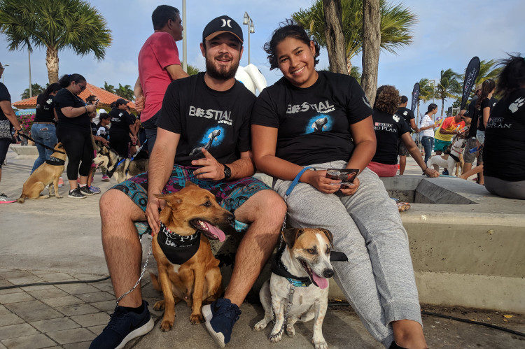 Bestial Dog Walk | When in Aruba