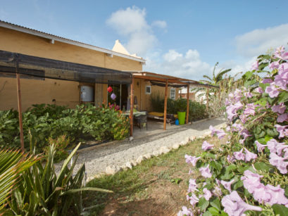 local produce Aruba