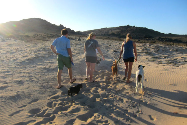 Aruba north coast nature walk