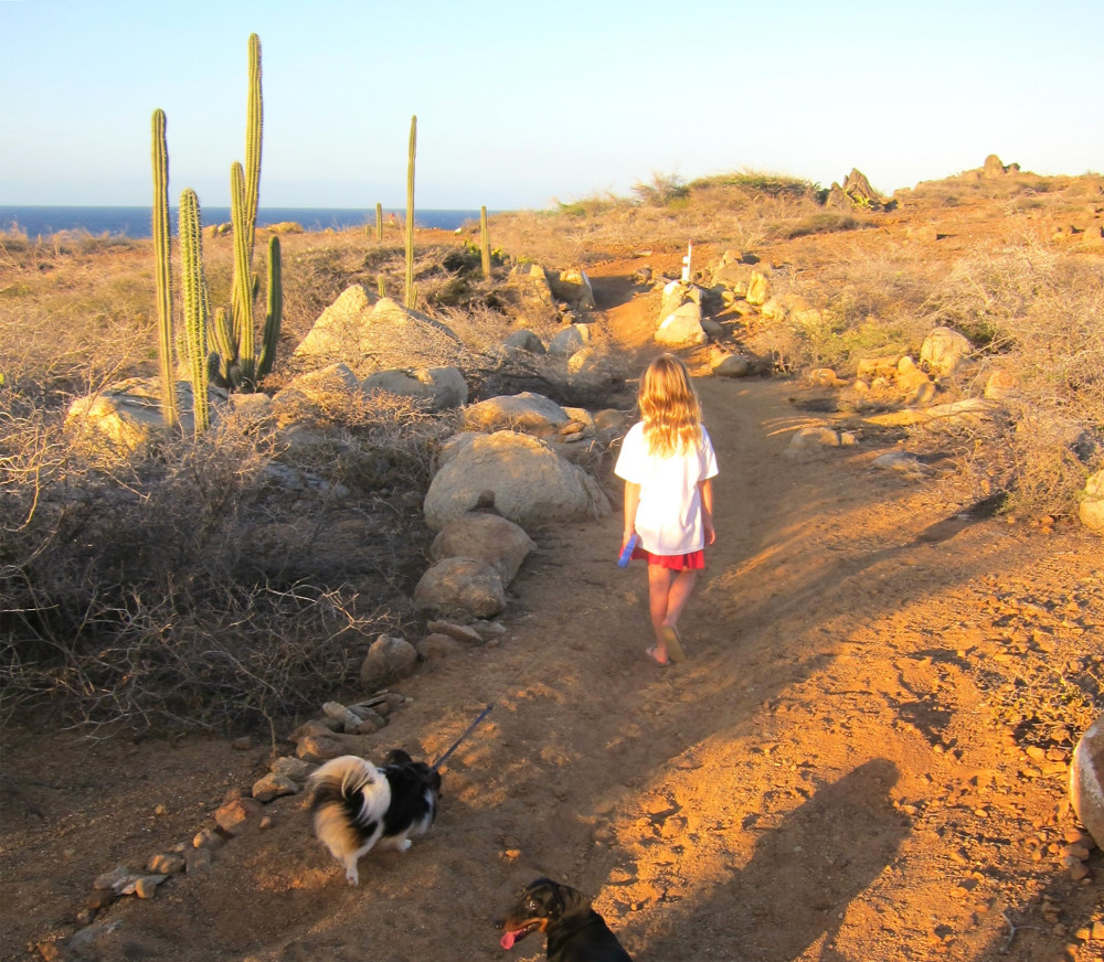 Aruba north coast