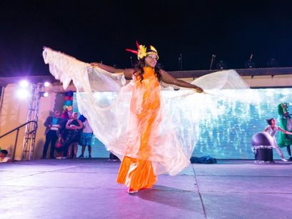 Aruba Carnival 65