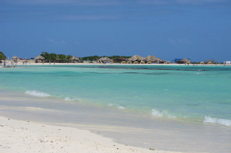 Patacones, Baby Beach, Donkeys & Quesillo - When in Aruba