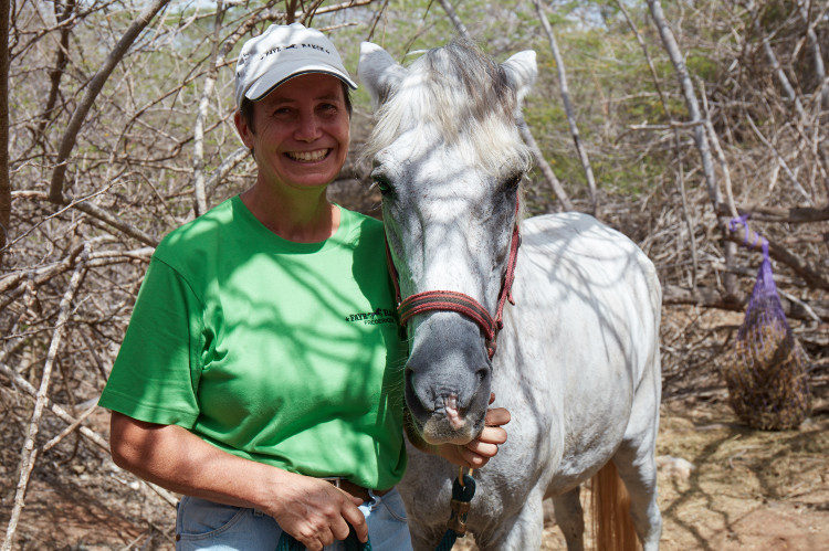 Aruba equine center