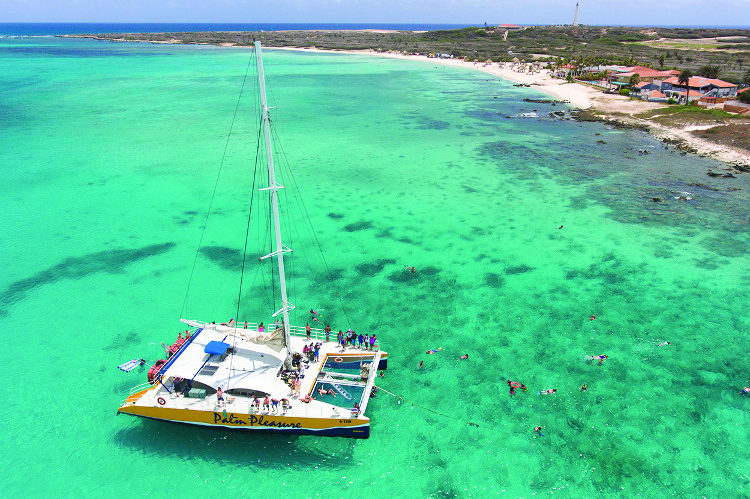 Palm Pleasure, Aruba